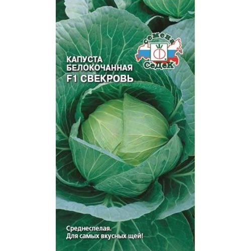 Капуста белокочанная Свекровь F1, семена артикул фото 1 Капуста белокочанная Свекровь F1, семена изображение 1 артикул 93358