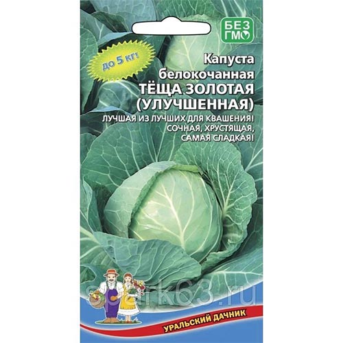 Капуста белокочанная Теща золотая, семена артикул фото 1 Капуста белокочанная Теща золотая, семена изображение 1 артикул 94518