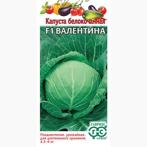 Капуста белокочанная Валентина F1 Гавриш изображение 1 артикул 97429
