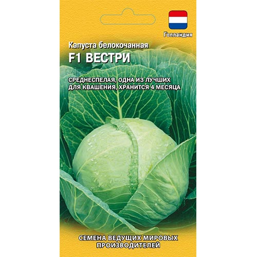 Капуста белокочанная Вестри F1, семена артикул фото 1 Капуста белокочанная Вестри F1, семена изображение 1 артикул 91688