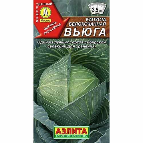 Капуста белокочанная Вьюга Аэлита артикул фото 1 Капуста белокочанная Вьюга Аэлита изображение 1 артикул 40061