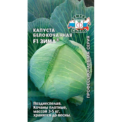 Капуста белокочанная Зима F1, семена артикул фото 1 Капуста белокочанная Зима F1, семена изображение 1 артикул 93344