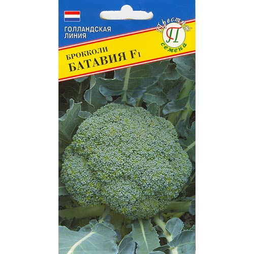 Капуста брокколи Батавия F1 Престиж артикул фото 1 Капуста брокколи Батавия F1 Престиж изображение 1 артикул 84189