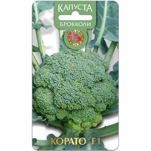 Капуста брокколи Корато F1 Биотехника изображение 1 артикул 84590