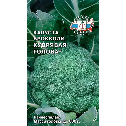 Капуста брокколи Кудрявая голова, семена изображение 1 артикул 93363