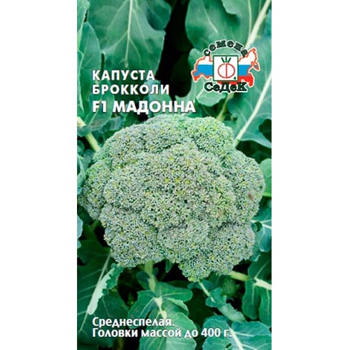 Капуста брокколи Мадонна F1, семена изображение 1 артикул 93364