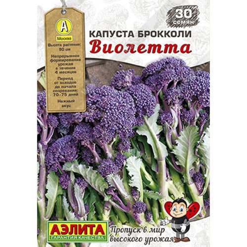 Капуста брокколи Виолетта Аэлита изображение 1 артикул 98269