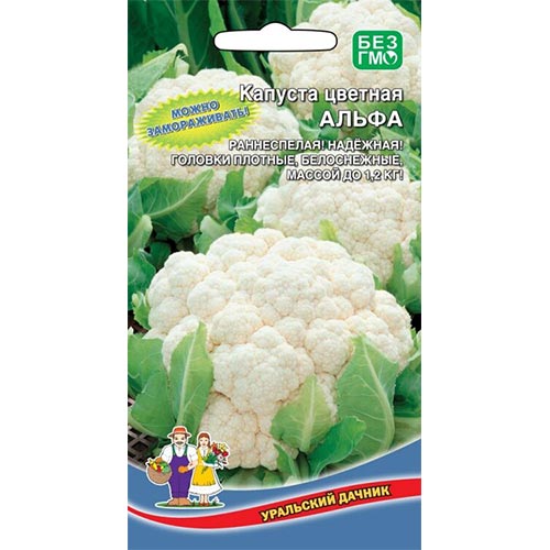 Капуста цветная Альфа, семена изображение 1 артикул 94537