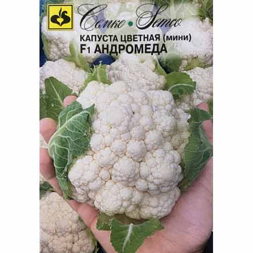 Капуста цветная Андромеда F1 Семко изображение 1 артикул 82648