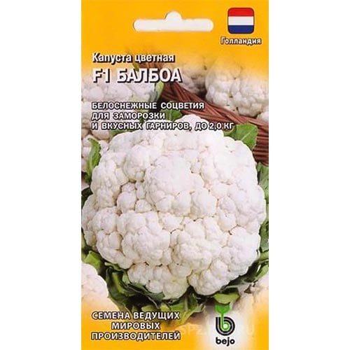 Капуста цветная Балбоа F1, семена изображение 1 артикул 91705