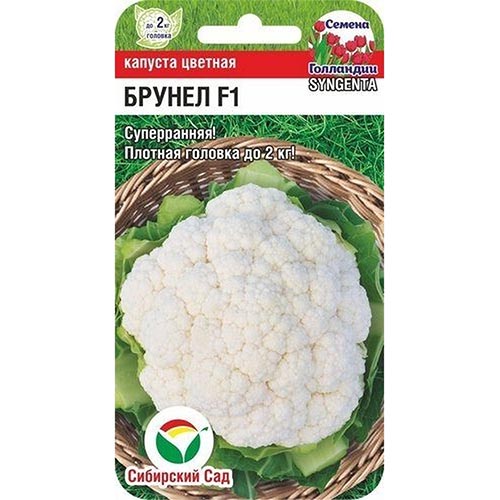 Капуста цветная Брунел F1, семена изображение 1 артикул 94350