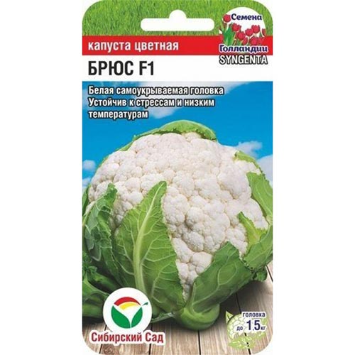 Капуста цветная Брюс F1, семена изображение 1 артикул 94906