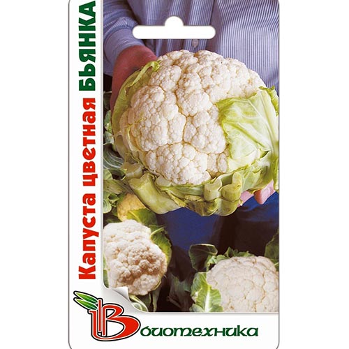 Капуста цветная Бьянка, семена артикул фото 1 Капуста цветная Бьянка, семена изображение 1 артикул 91507