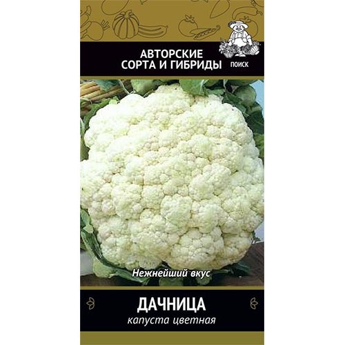 Капуста цветная Дачница Поиск изображение 1 артикул 81889