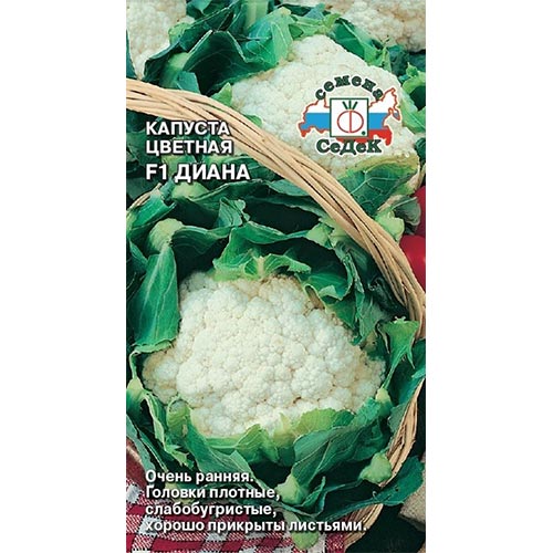 Капуста цветная Диана F1, семена изображение 1 артикул 93393