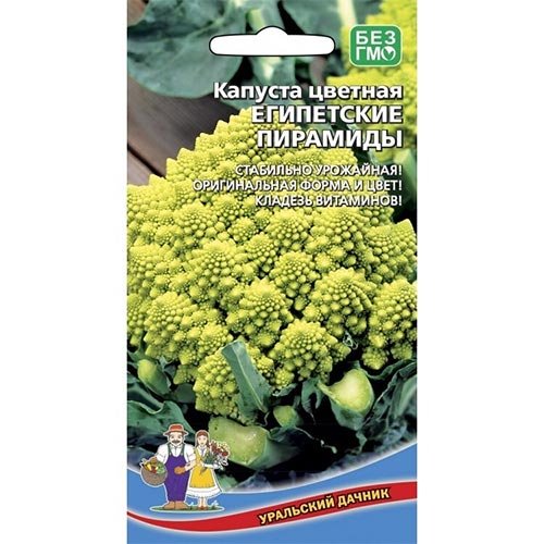 Капуста цветная Египетские пирамиды, семена изображение 1 артикул 94540