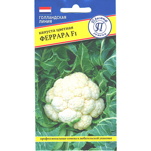 Капуста цветная Феррара F1 Престиж артикул фото 1 Капуста цветная Феррара F1 Престиж изображение 1 артикул 85394