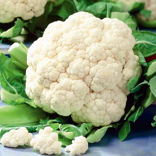 Капуста цветная Фудзияма F1 артикул фото 1 Капуста цветная Фудзияма F1 изображение 1 артикул 74021