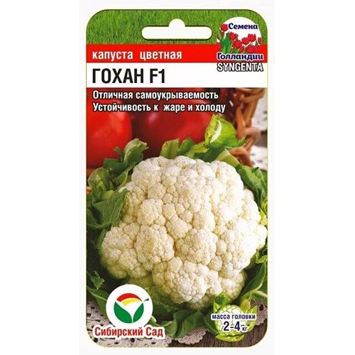 Капуста цветная Гохан F1, семена артикул фото 1 Капуста цветная Гохан F1, семена изображение 1 артикул 94352