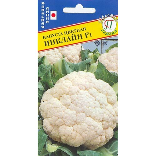 Капуста цветная Инклайн F1 Престиж изображение 1 артикул 71370