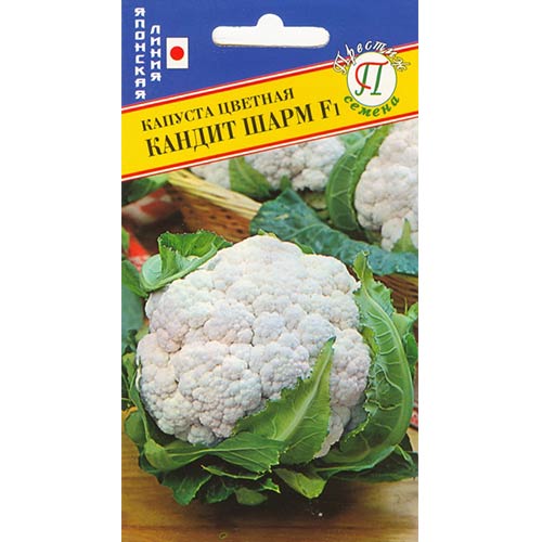 Капуста цветная Кандит шарм F1 Престиж артикул фото 1 Капуста цветная Кандит шарм F1 Престиж изображение 1 артикул 73587