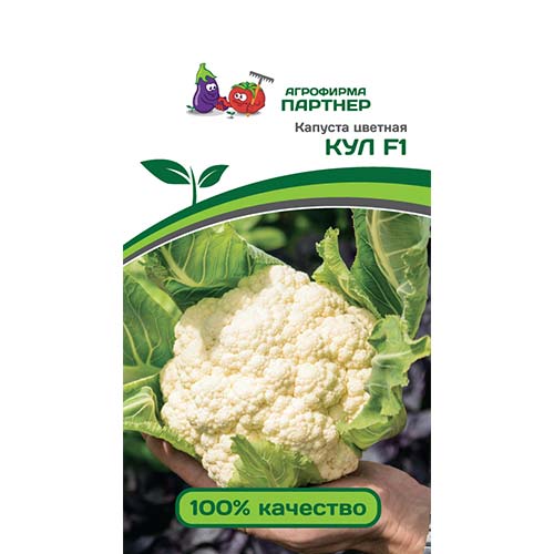 Капуста цветная Кул F1 Партнер изображение 1 артикул 84840