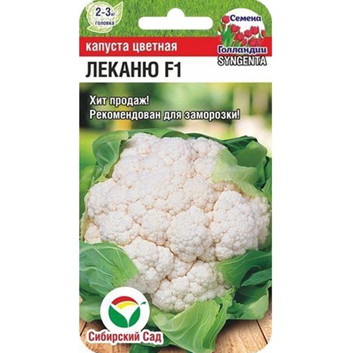 Капуста цветная Леканю F1, семена изображение 1 артикул 94353