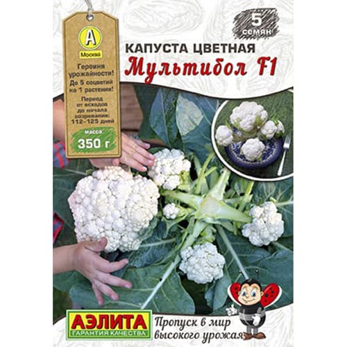 Капуста цветная Мультибол F1 Аэлита изображение 1 артикул 98294