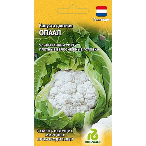 Капуста цветная Опаал, семена изображение 1 артикул 91709