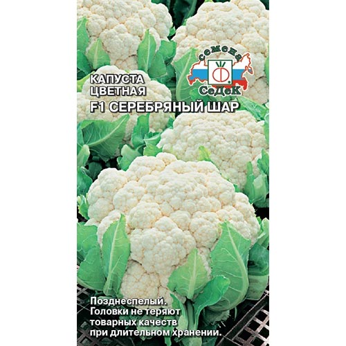 Капуста цветная Серебряный шар F1, семена изображение 1 артикул 93399