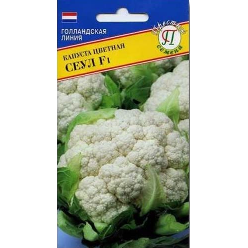 Капуста цветная Сеул F1 Престиж изображение 1 артикул 65723