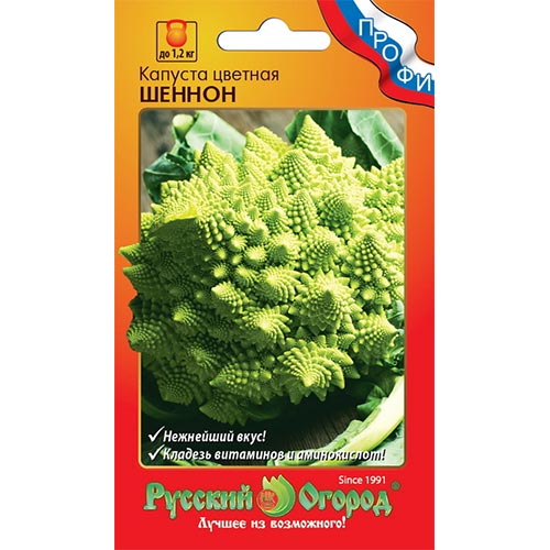 Капуста цветная Шеннон, семена изображение 1 артикул 92327