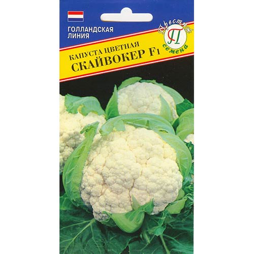 Капуста цветная Скайвокер F1 Престиж артикул фото 1 Капуста цветная Скайвокер F1 Престиж изображение 1 артикул 73589