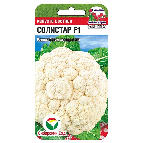 Капуста цветная Солистар, семена изображение 1 артикул 94355