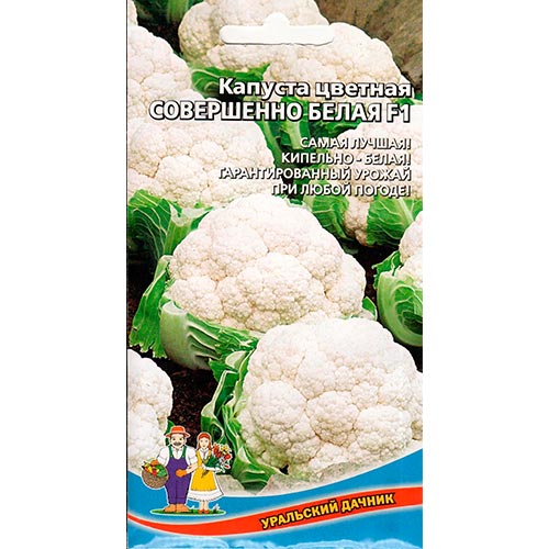Капуста цветная Совершенно белая F1, семена изображение 1 артикул 94541