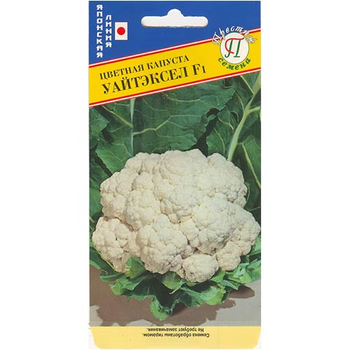 Капуста цветная Уайтэксел F1 Престиж артикул фото 1 Капуста цветная Уайтэксел F1 Престиж изображение 1 артикул 81148