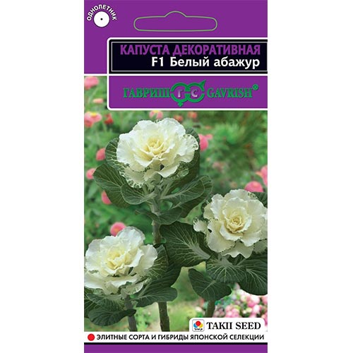 Капуста декоративная Белый абажур F1, смесь окрасок изображение 1 артикул 92070