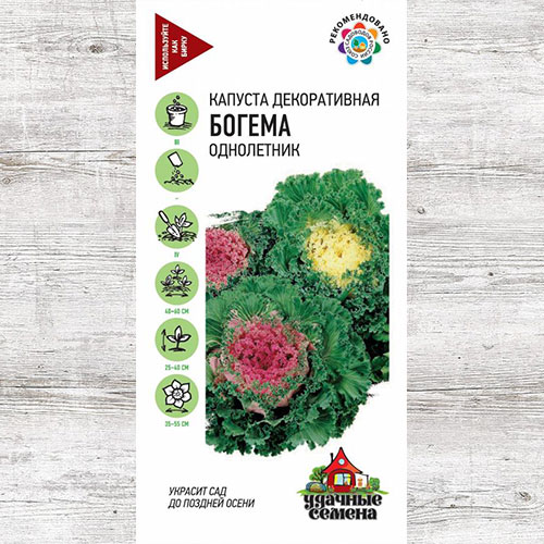 Капуста декоративная Богема Гавриш изображение 1 артикул 73855