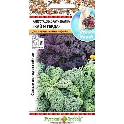 Капуста декоративная Кай и Герда F1, смесь окрасок изображение 1 артикул 92524