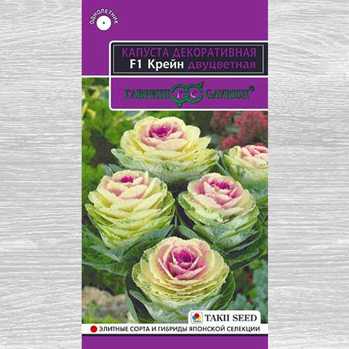 Капуста декоративная Крейн двуцветная F1 Гавриш изображение 1 артикул 82383
