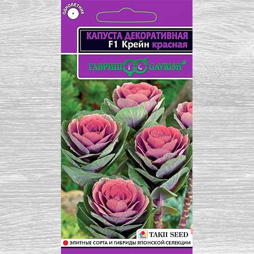 Капуста декоративная Крейн красная F1 Гавриш изображение 1 артикул 82384