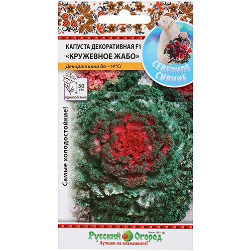 Капуста декоративная Кружевное жабо F1, смесь окрасок изображение 1 артикул 92525