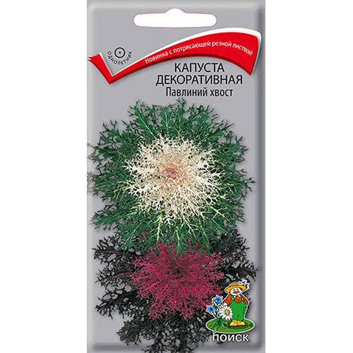 Капуста декоративная Павлиний хвост, смесь окрасок изображение 1 артикул 92998