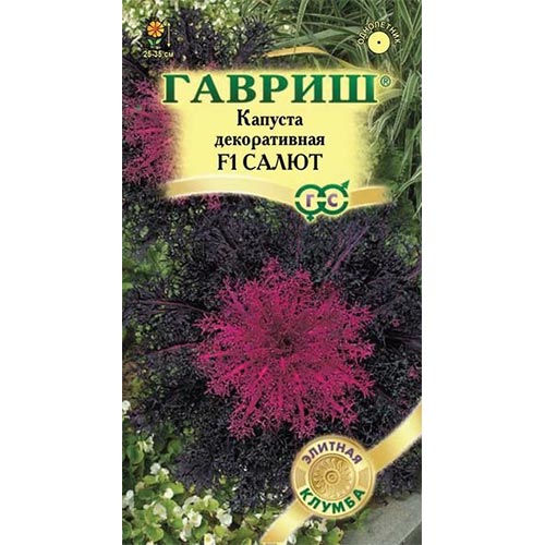 Капуста декоративная Салют F1, семена изображение 1 артикул 92071
