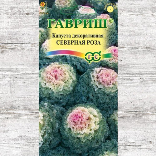 Капуста декоративная Северная роза Гавриш изображение 1 артикул 65954
