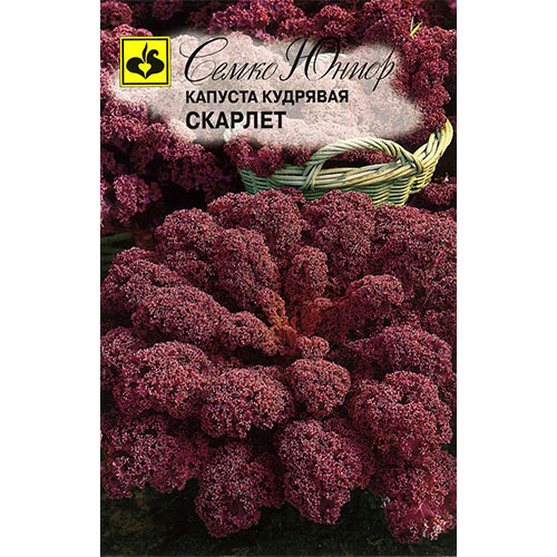 Капуста кале Скарлет Семко изображение 1 артикул 74893