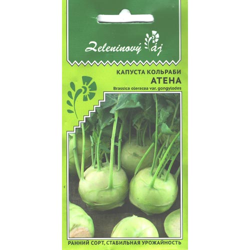 Капуста кольраби Атена, семена изображение 1 артикул 94522
