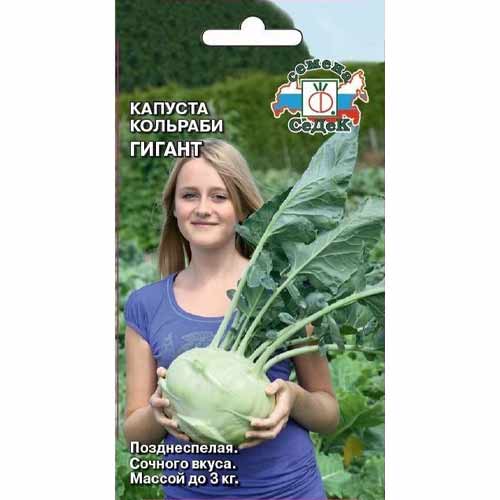 Капуста кольраби Гигант Седек изображение 1 артикул 40461