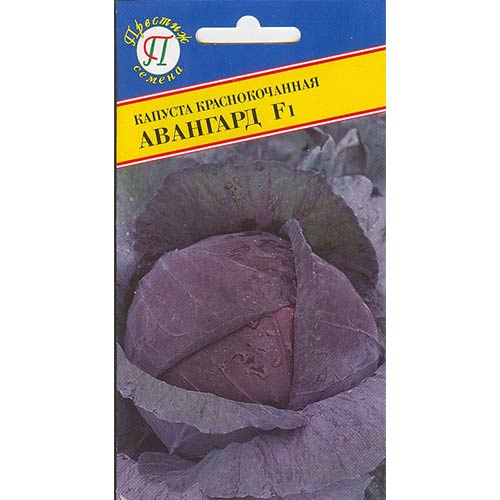Капуста краснокочанная Авангард F1 Престиж изображение 1 артикул 71366