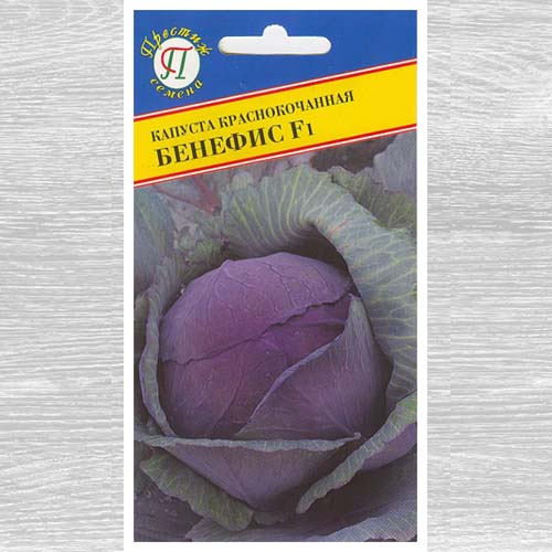 Капуста краснокочанная Бенефис F1 артикул фото 1 Капуста краснокочанная Бенефис F1 изображение 1 артикул 73584